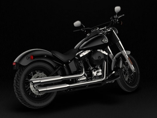 Фото мотоцикла Harley-Davidson Softail Slim